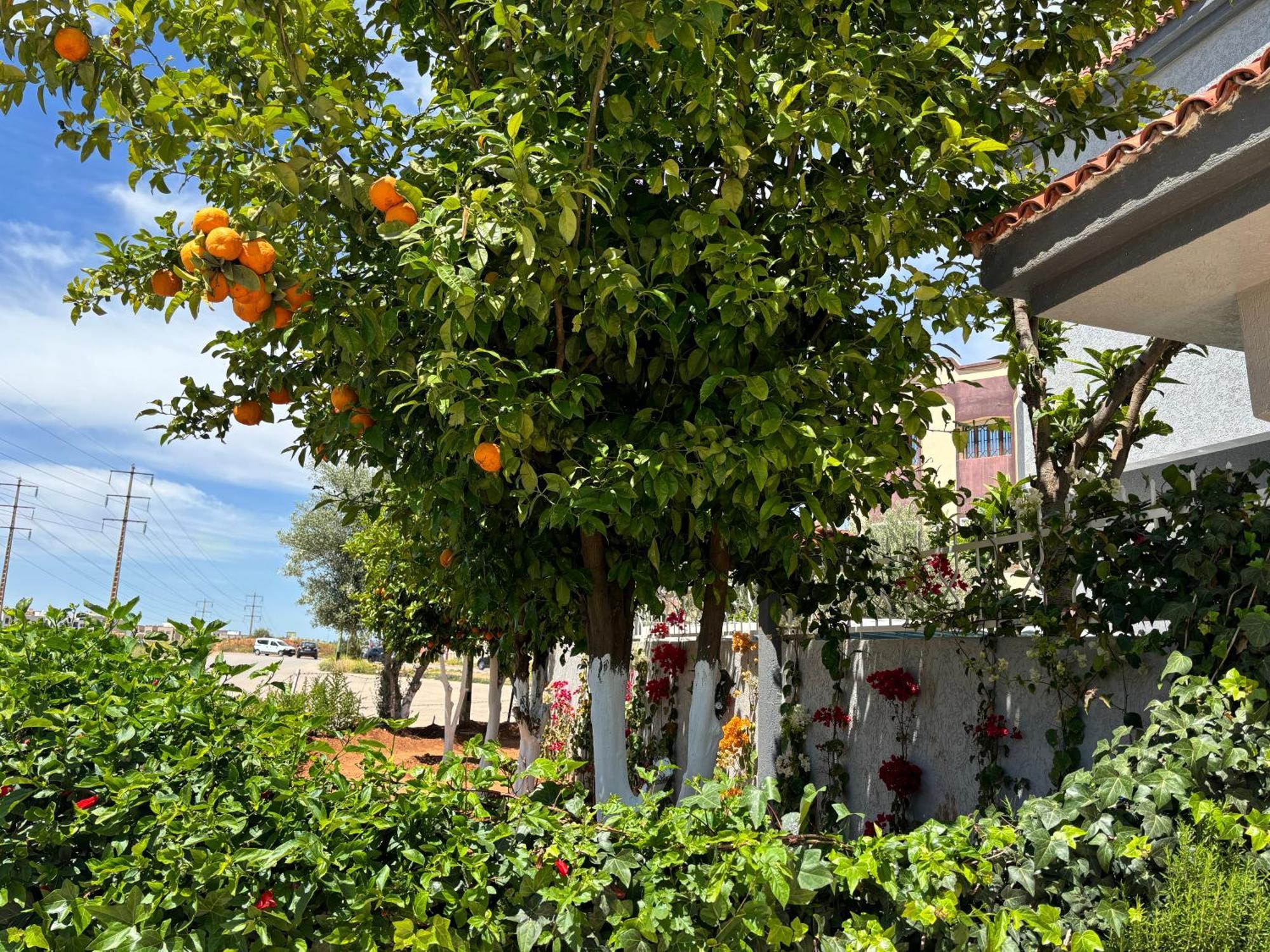 Dar El Kebira Villa Meknès Eksteriør billede